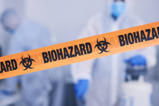 Professional Odor Removal technician working in Endicott, NY